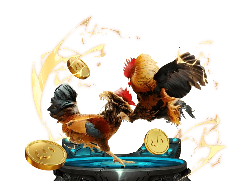 Hoàn trả hàng ngày QHH88